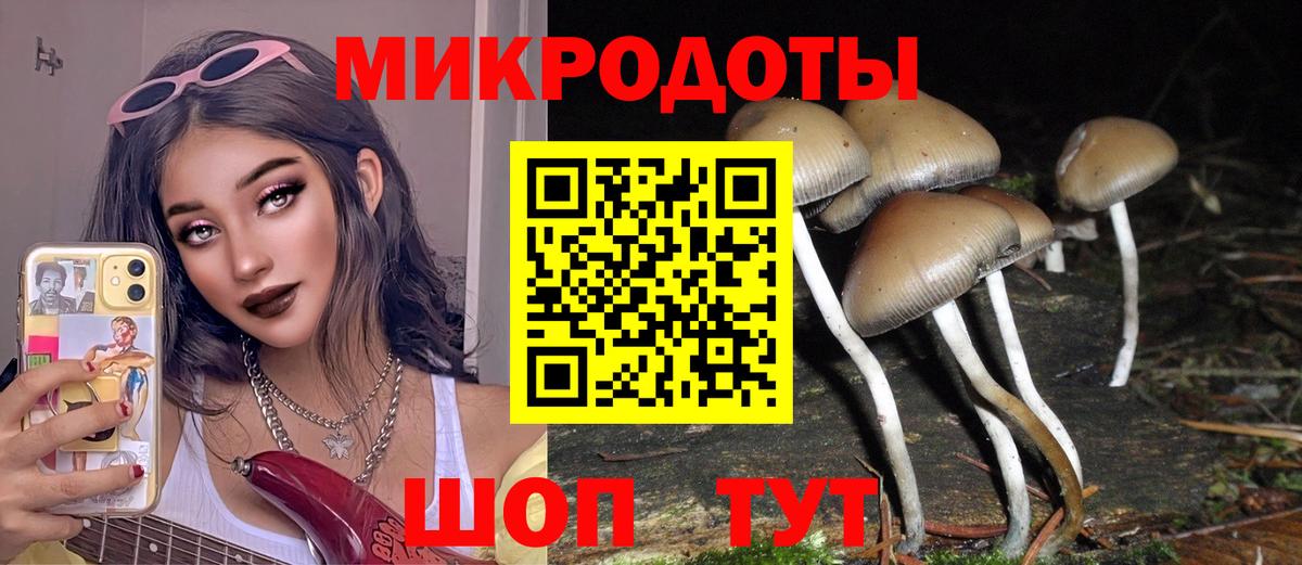 Псилоцибиновые грибы мицелий Ступино