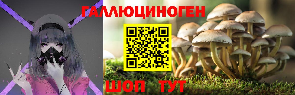 Ступино  Псилоцибиновые грибы MAGIC MUSHROOMS  Псилоцибиновые грибы мицелий  Вход с VPN 